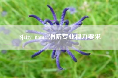 眉山消防专业视力要求