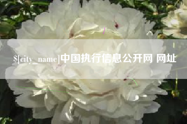 眉山中国执行信息公开网 网址