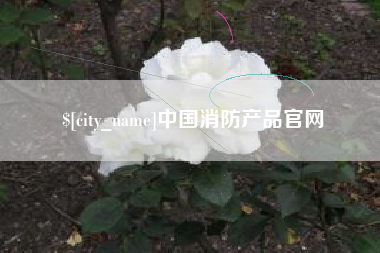 眉山中国消防产品官网
