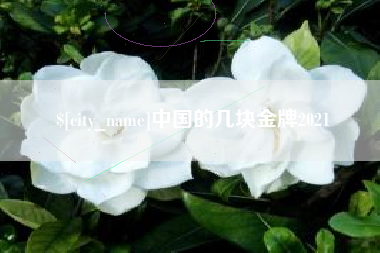 眉山中国的几块金牌2021