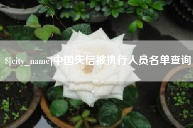 眉山中国失信被执行人员名单查询