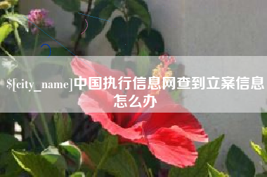 眉山中国执行信息网查到立案信息怎么办