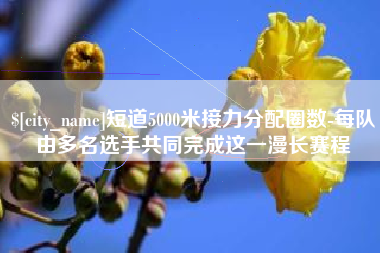 眉山短道5000米接力分配圈数-每队由多名选手共同完成这一漫长赛程
