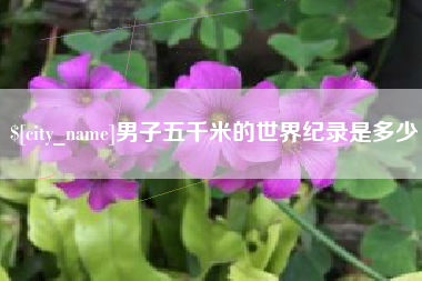 眉山男子五千米的世界纪录是多少