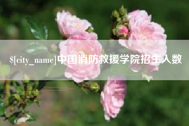 眉山中国消防救援学院招生人数