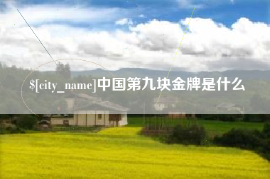 眉山中国第九块金牌是什么
