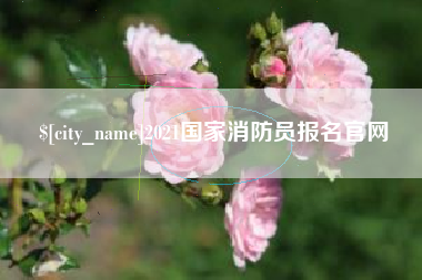眉山2021国家消防员报名官网
