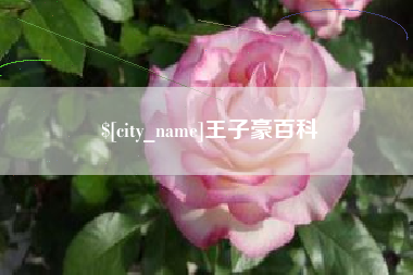 眉山王子豪百科