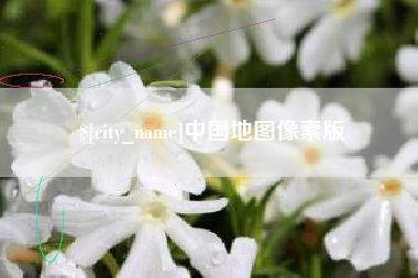 眉山中国地图像素版