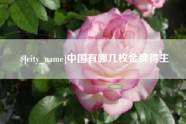 眉山中国有哪几枚金牌得主