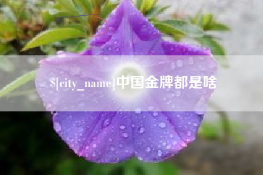 眉山中国金牌都是啥