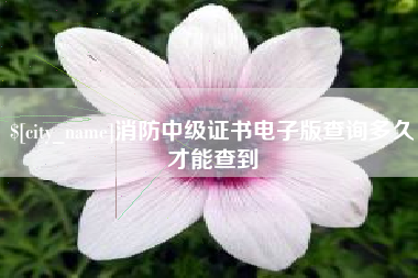 眉山消防中级证书电子版查询多久才能查到