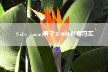 眉山男子5000米世界冠军