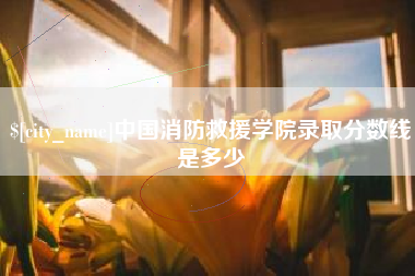 眉山中国消防救援学院录取分数线是多少