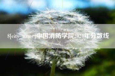 眉山中国消防学院2024年分数线