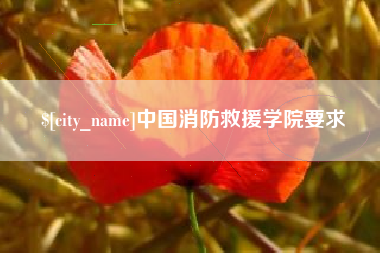 眉山中国消防救援学院要求