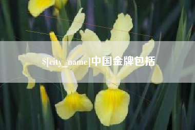 眉山中国金牌包括