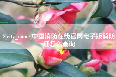 眉山中国消防在线官网电子版消防证怎么查询
