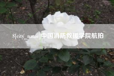 眉山中国消防救援学院航拍