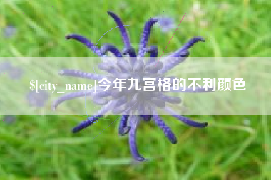 眉山今年九宫格的不利颜色