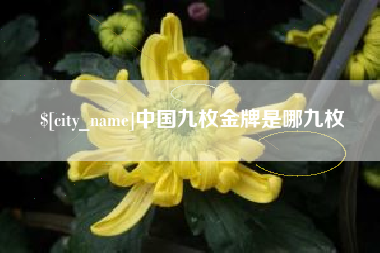 眉山中国九枚金牌是哪九枚