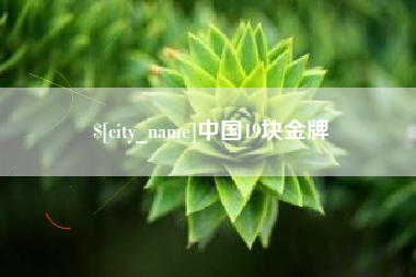 眉山中国19块金牌