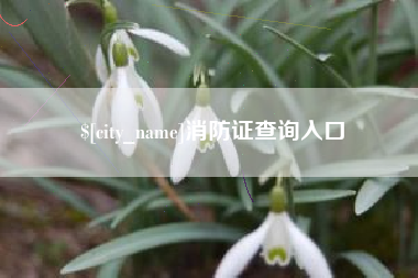 眉山消防证查询入口