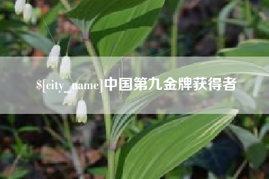 眉山中国第九金牌获得者