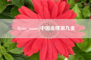 眉山中国金牌第九金