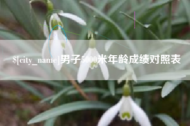 眉山男子5000米年龄成绩对照表
