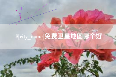 眉山免费卫星地图哪个好