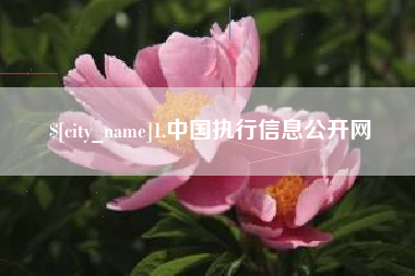 眉山1.中国执行信息公开网