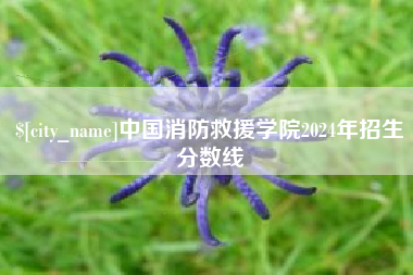眉山中国消防救援学院2024年招生分数线