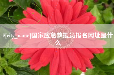 眉山国家应急救援员报名网址是什么