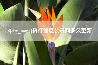 眉山执行信息公开网多久更新