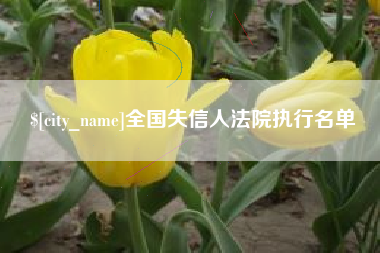 眉山全国失信人法院执行名单