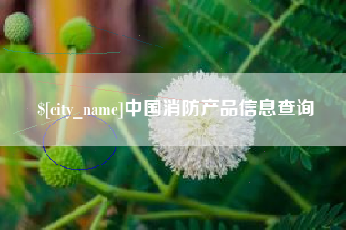 眉山中国消防产品信息查询