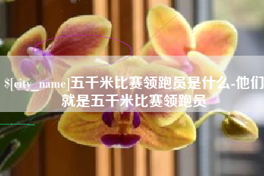 眉山五千米比赛领跑员是什么-他们就是五千米比赛领跑员