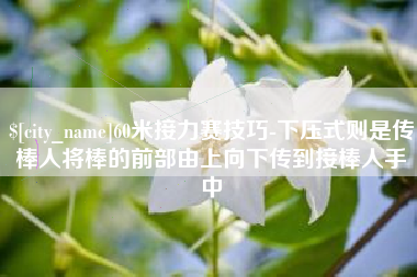 眉山60米接力赛技巧-下压式则是传棒人将棒的前部由上向下传到接棒人手中