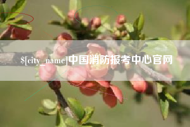 眉山中国消防报考中心官网