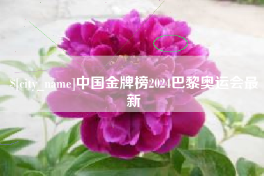 眉山中国金牌榜2024巴黎奥运会最新