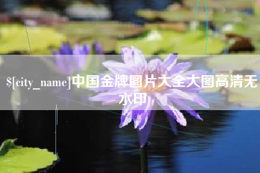 眉山中国金牌图片大全大图高清无水印