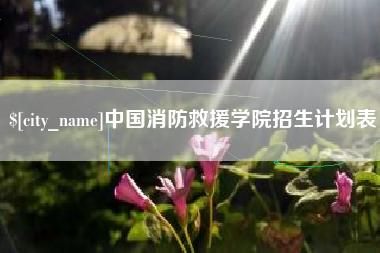 眉山中国消防救援学院招生计划表