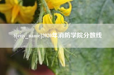眉山2020年消防学院分数线