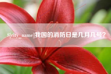 眉山我国的消防日是几月几号？