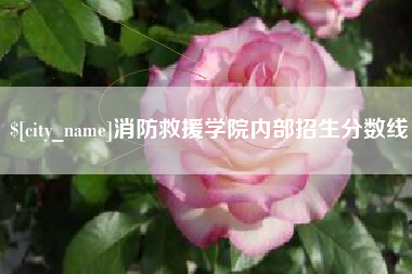 眉山消防救援学院内部招生分数线