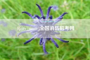 眉山全国消防招考网