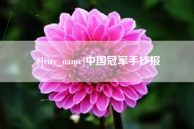 眉山中国冠军手抄报