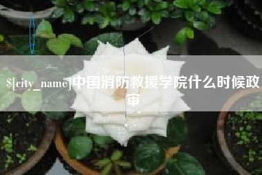眉山中国消防救援学院什么时候政审