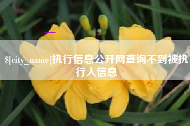 眉山执行信息公开网查询不到被执行人信息
